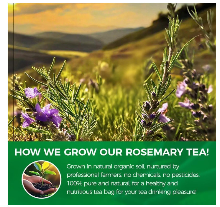 60 Count Premium Rosemary Leaf Tea Bags – 100% Pure Natural Rosemary Leaves