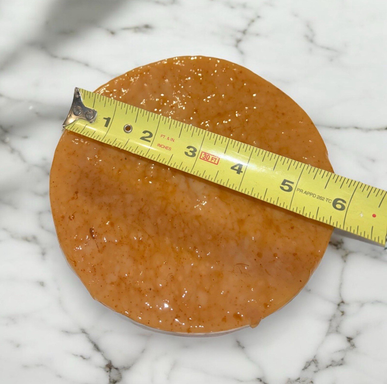 Kombucha SCOBY Starter Culture | Live Probiotic Fermentation | Tea | Kefier