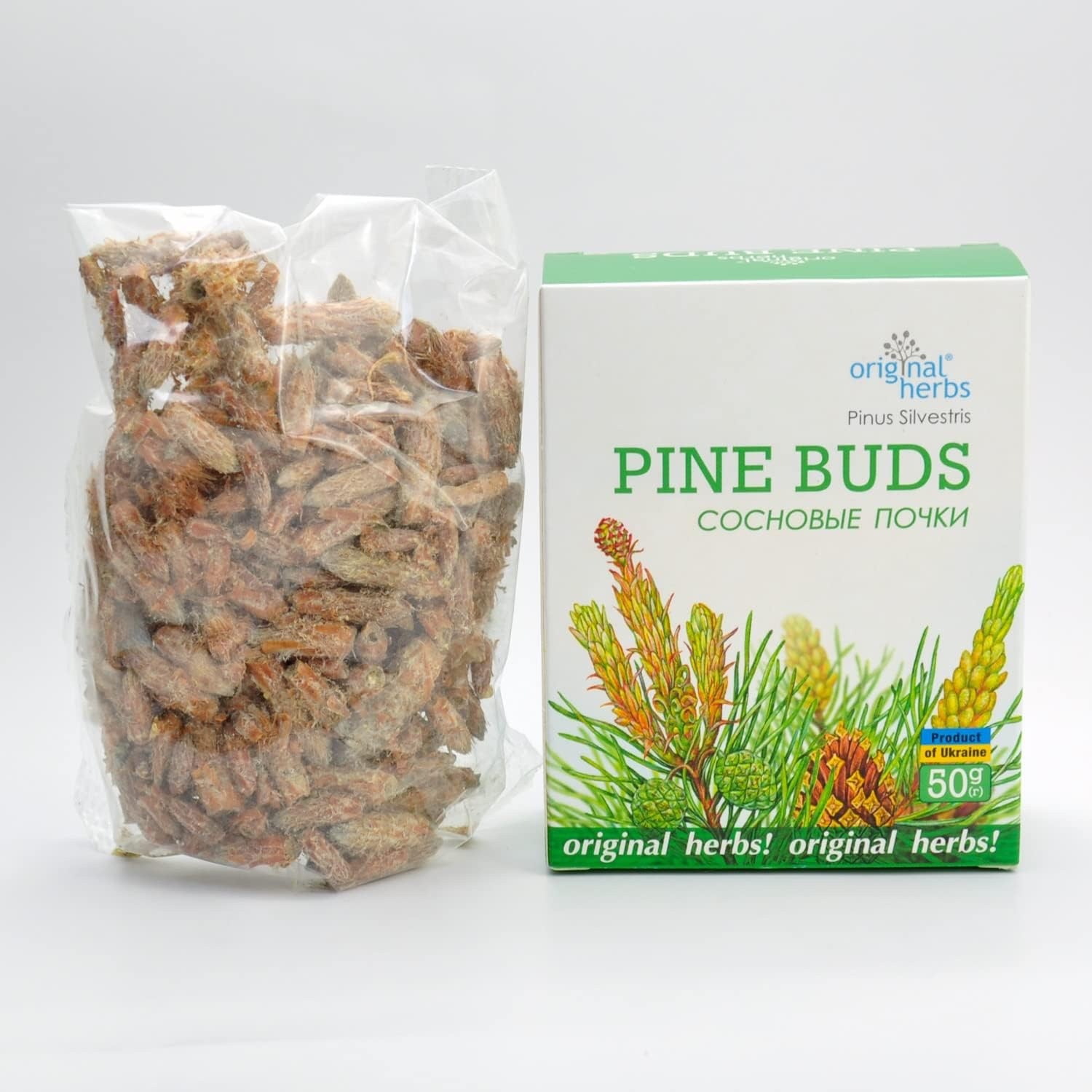 Pine Buds Tea ( Сосновые почки) – 50g (1.76 oz ) | Herbs Tea, Original Herbs
