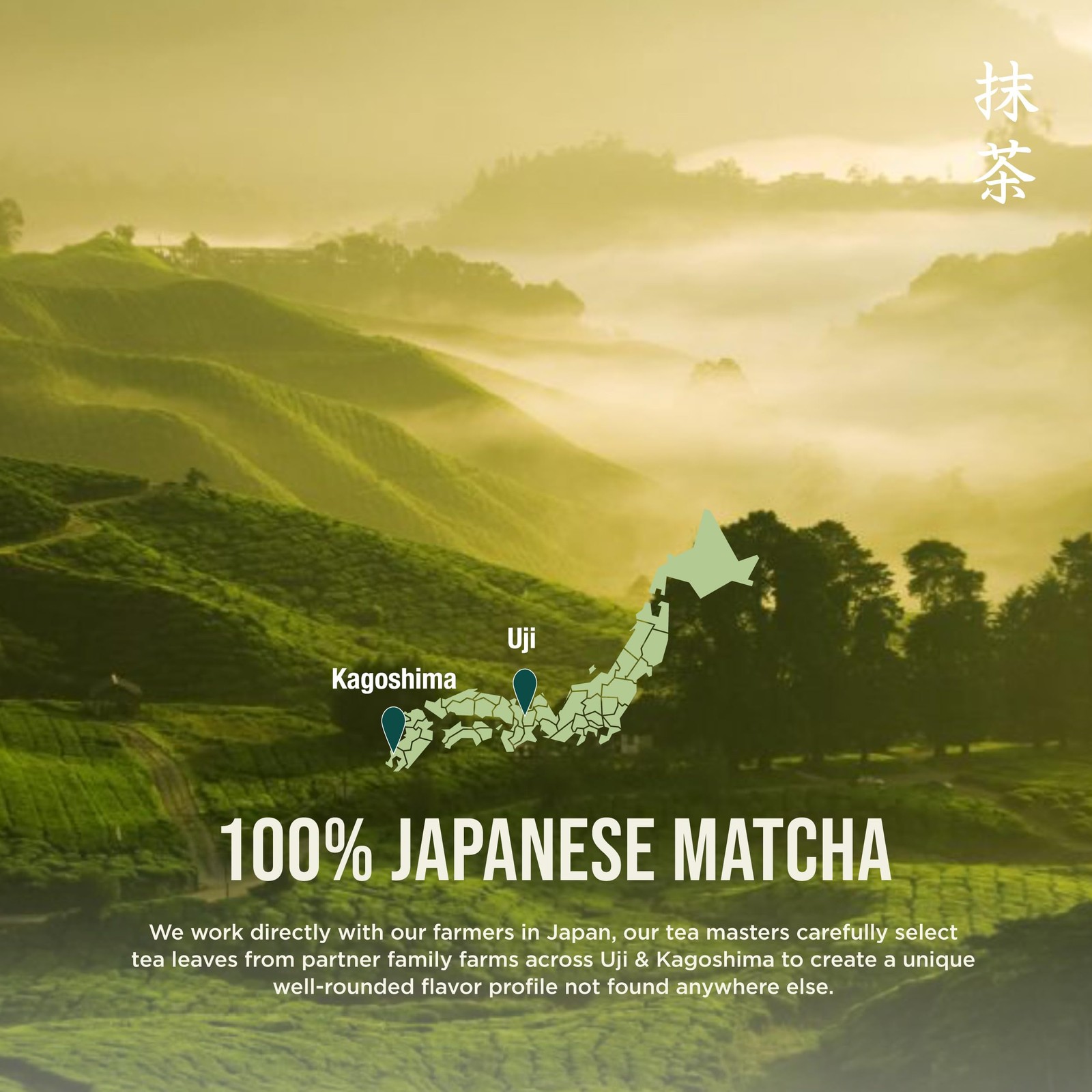 Ceremonial Grade Matcha Green Tea Powder – Authentic Japanese Origin – Artisa…