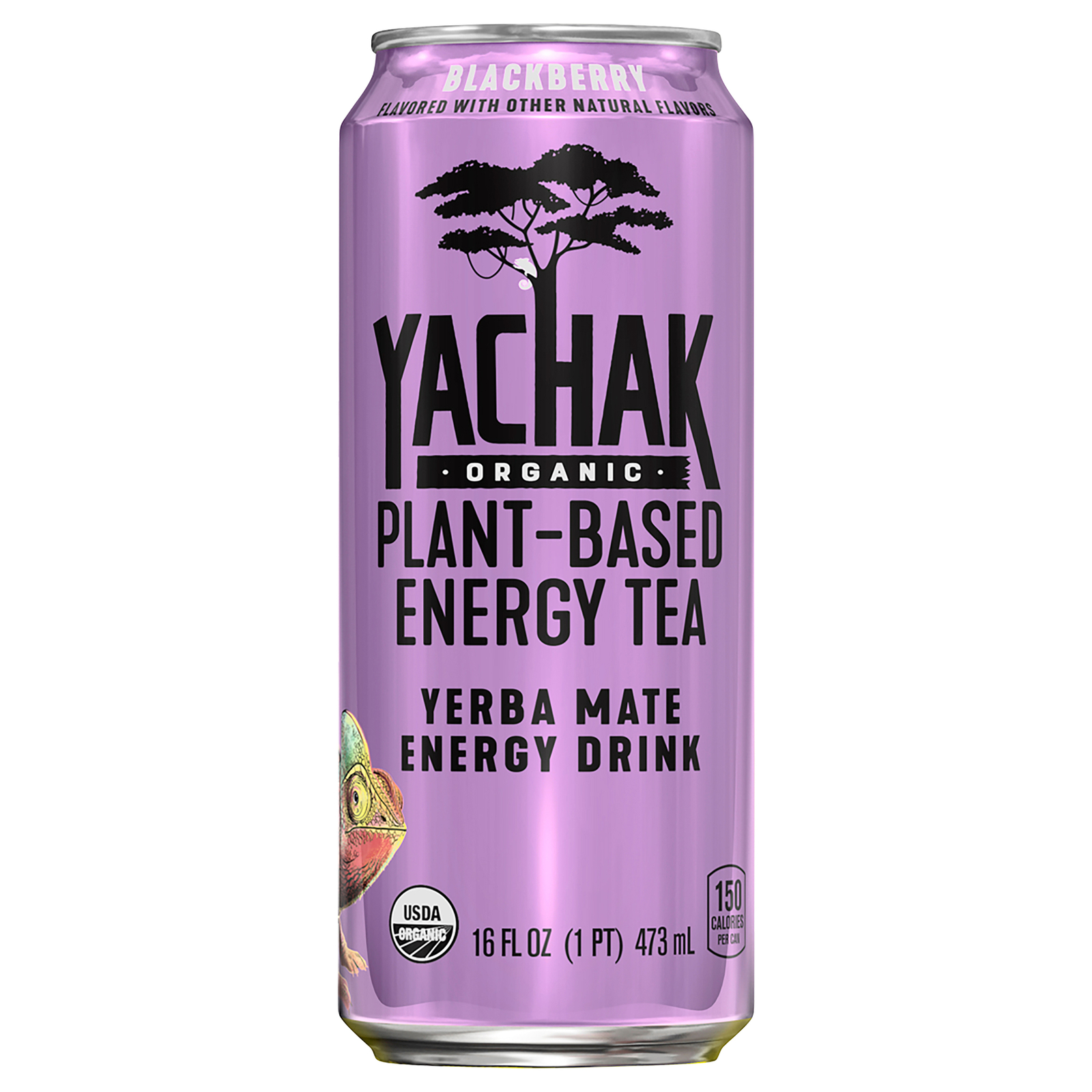 Yachak Organic Tea Organic Blackberry 16 fl. oz (Pack of 12)