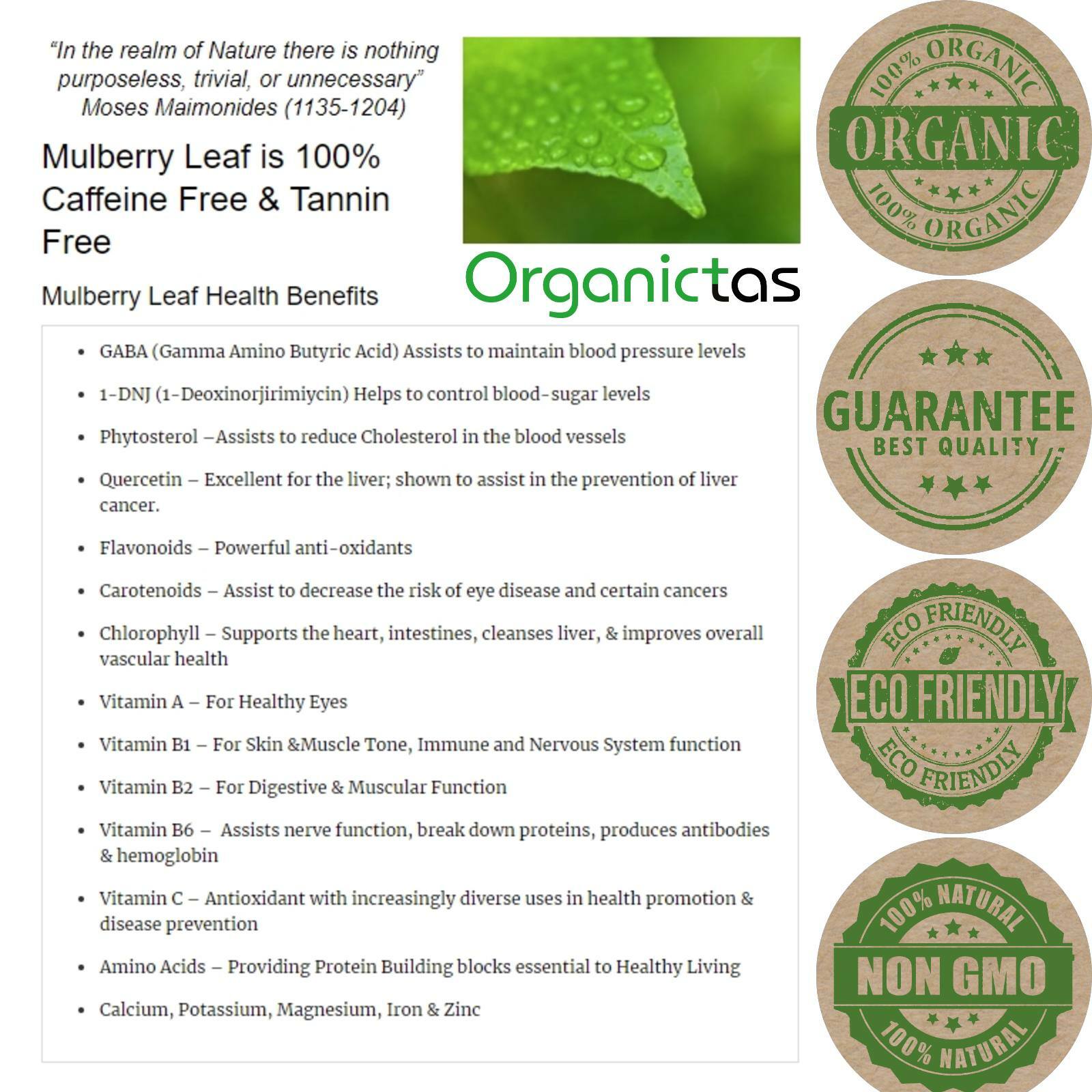Organic Black Mulberry Leaf Tea (Morus Nigra) Wild Harvest Premium Quality