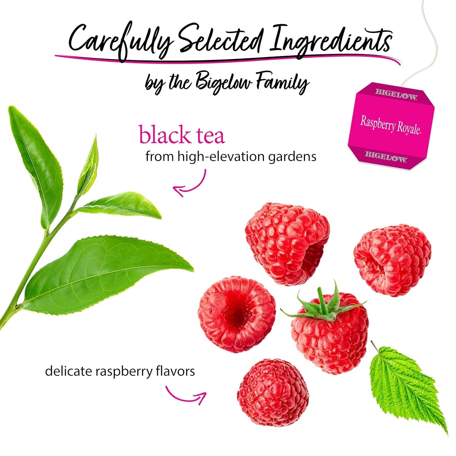 Bigelow Raspberry Royale Black Tea Bags, 20 Count Each, 6-Pack Antioxidant Bliss