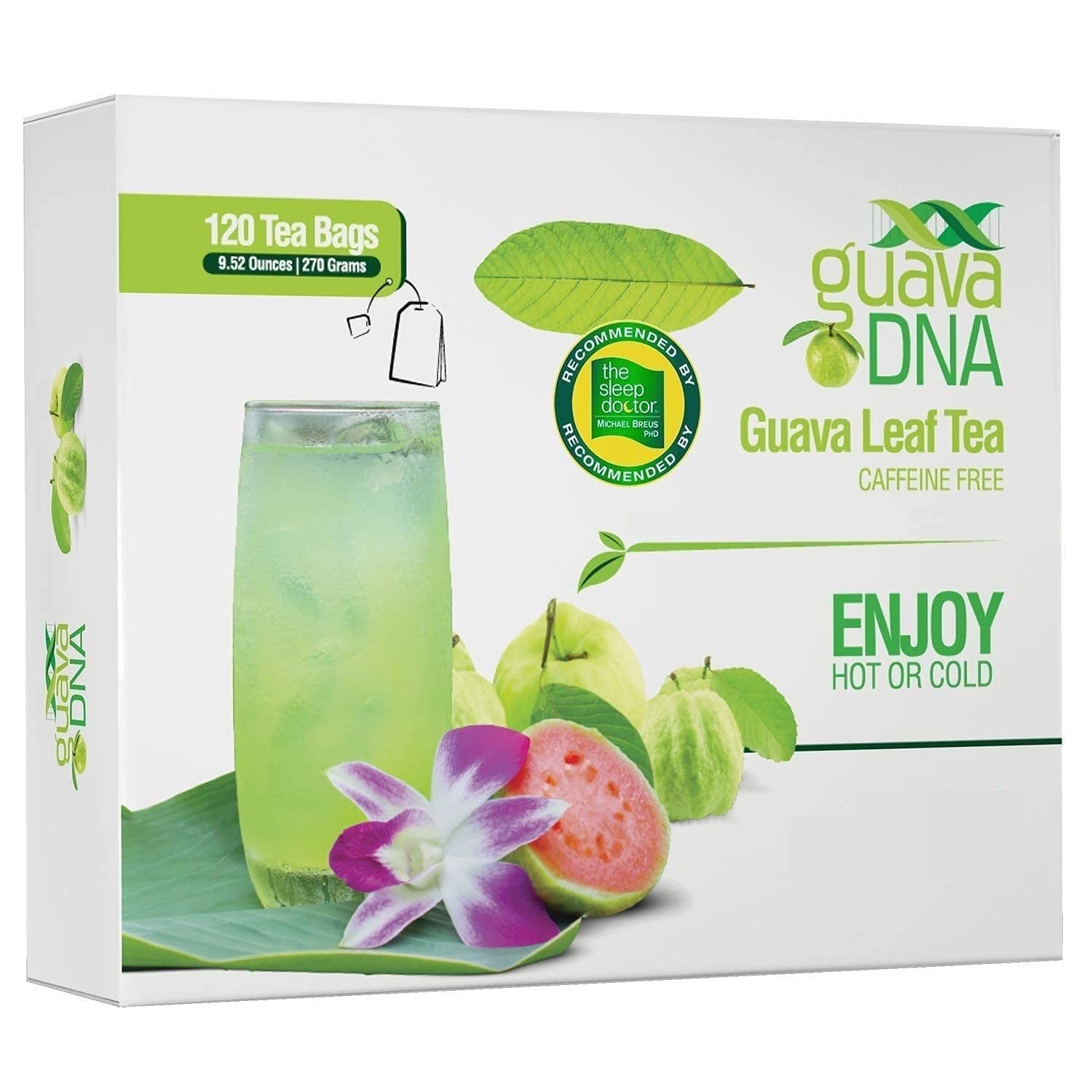 GuavaDNA Guava Leaf Tea Individually Wrapped Teabags by 120 Count (Pack of 1)