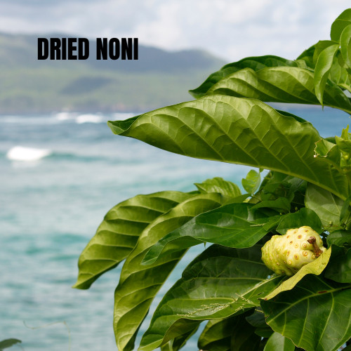 Noni Dried Fruit Tea 3 dried organic Noni Caffeine Free, 100% Natural