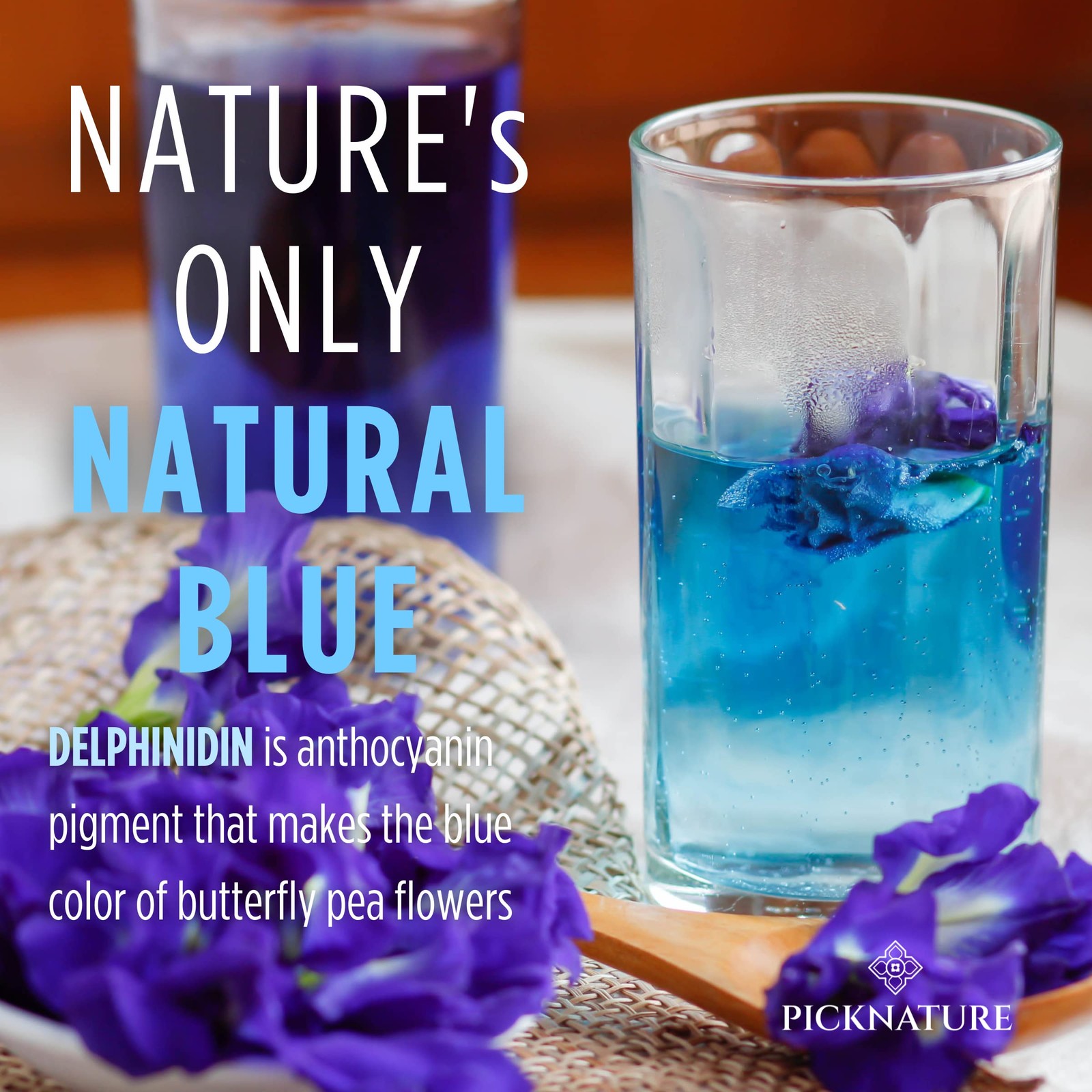 Butterfly Pea Flower Tea Loose Leaf – Herbal Blue Tea Gifts 100+ Cups