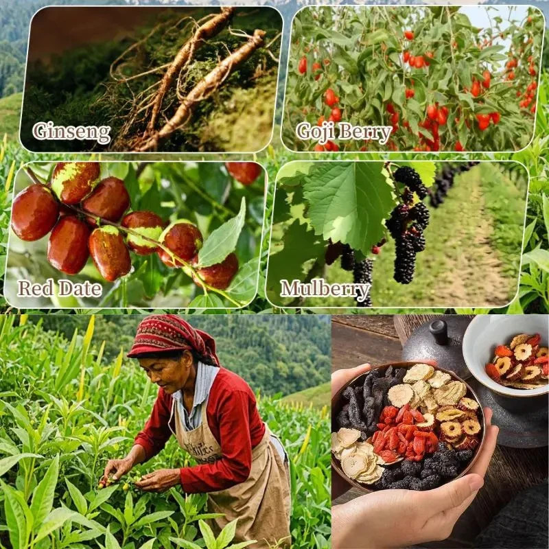 Ginseng Five Treasure Tea Liver and Kidney Nourishing Vitality Tea Herbal TeaBag