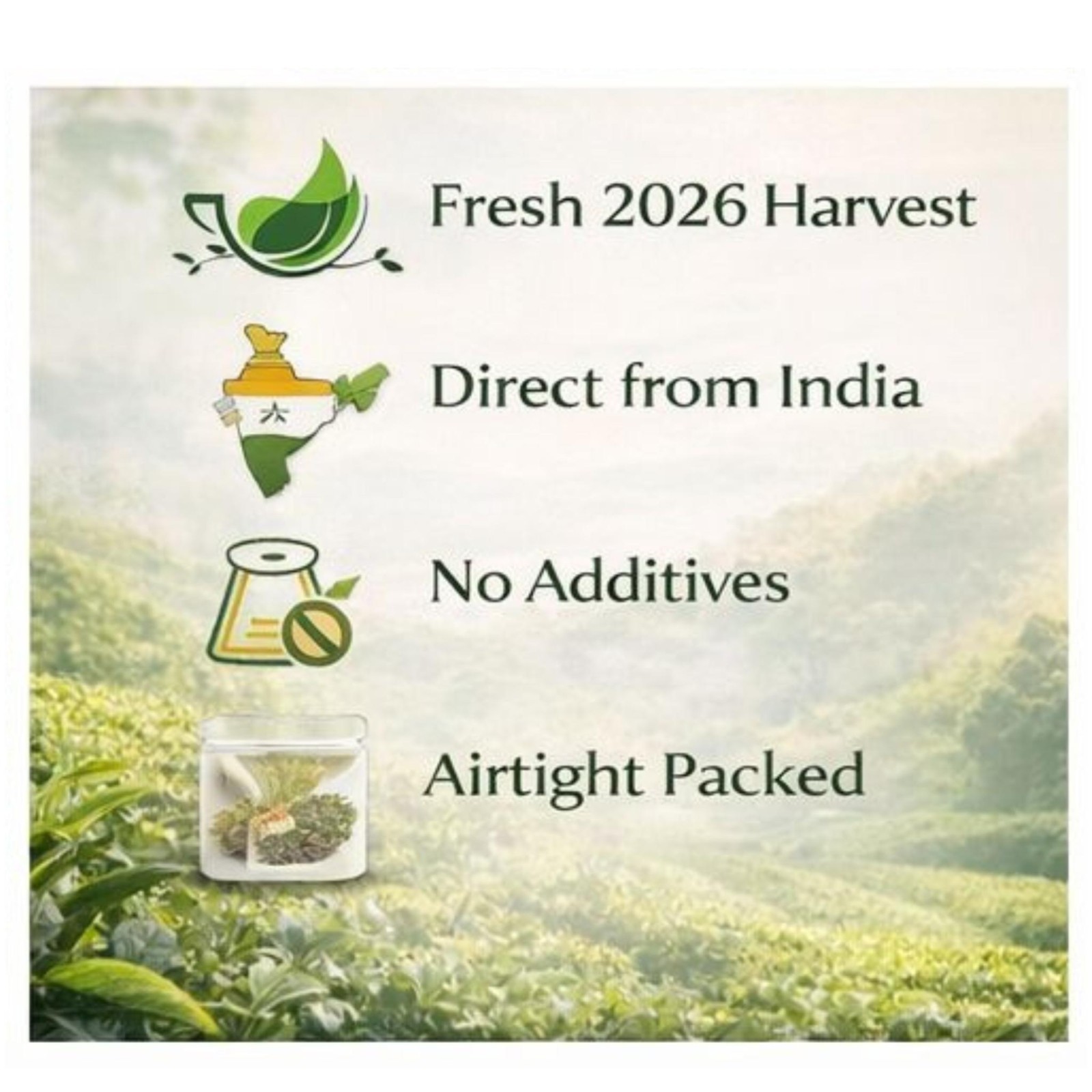 Darjeeling First Flush Tea PREMIUM 2026 Jungpana FTGFOP1 Loose Leaf Blend