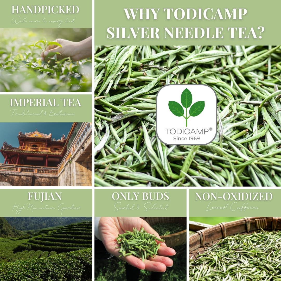 TODICAMP Premium Silver Needle Tea – 3 oz of Premium White Tea Loose Leaf