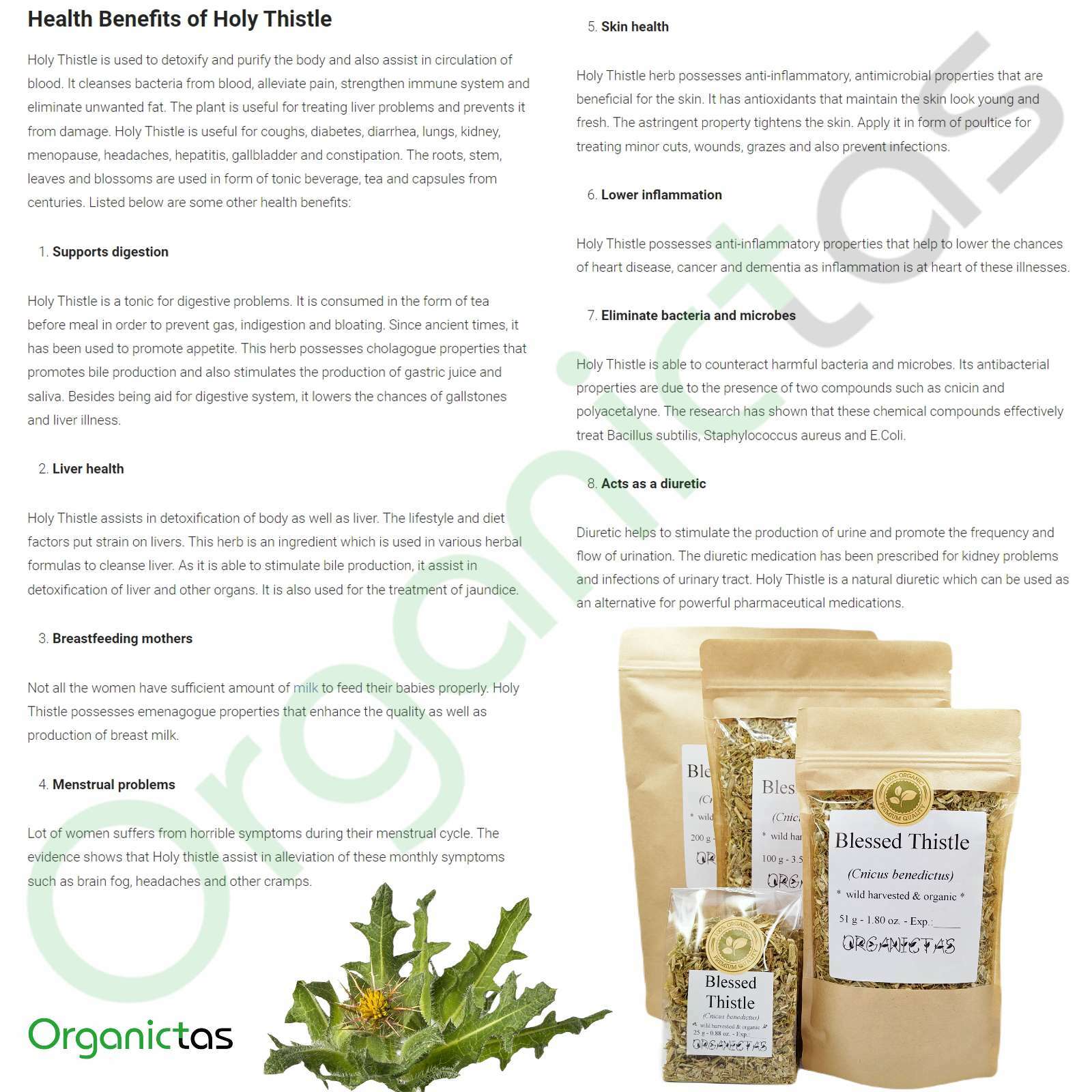 Organic Blessed Holy Thistle Tea Cnicus Benedictus Dried & Loose Premium Qualtiy