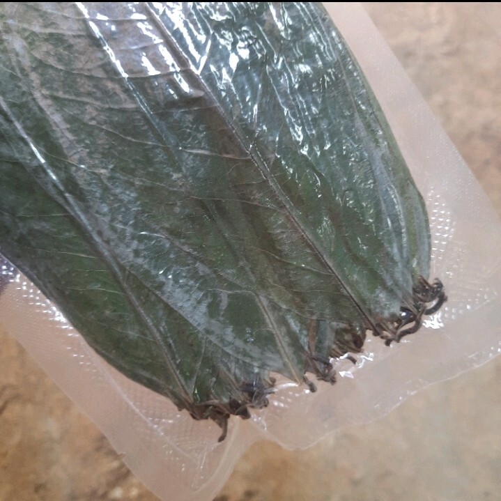 400+ Dried Soursop Leaves Annona HOJAS DE GUANABANA GRAVIOLA Quality Herbal Tea