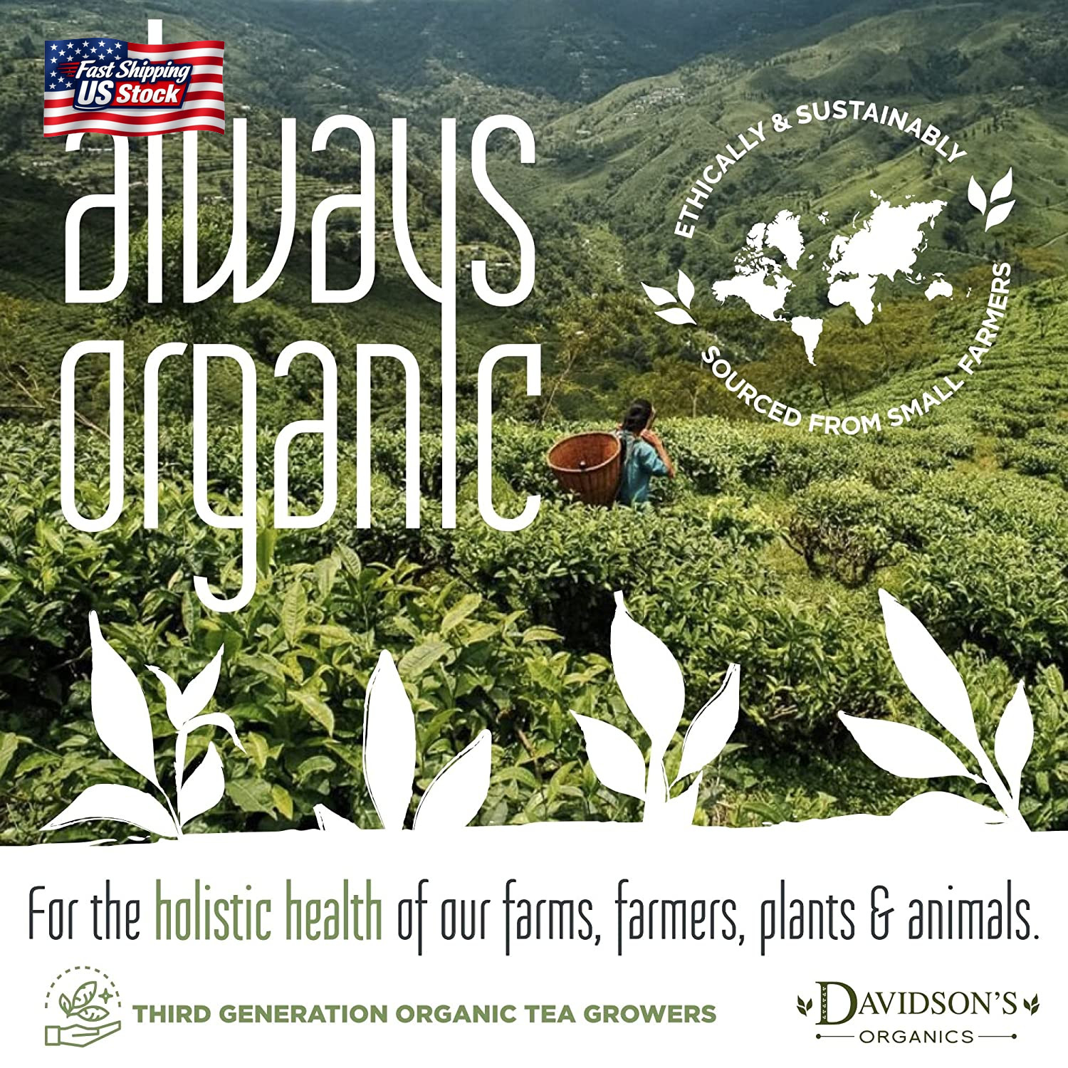 Davidson’S Organics, Gunpowder Green, Loose Leaf Tea, 16-Ounce Bag(Packaging May