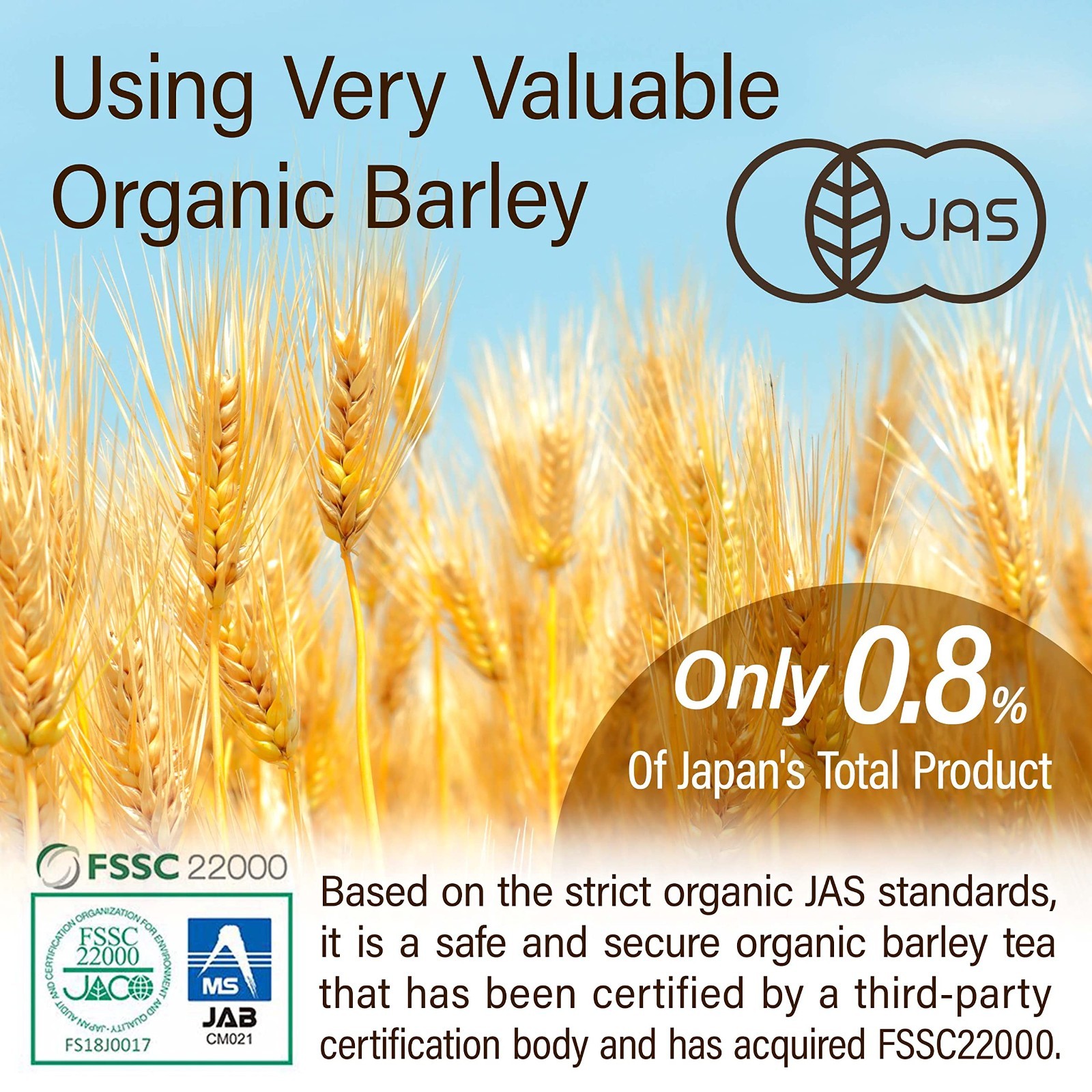 Caffeine-Free Organic Barley Tea Bags – 100% Natural Vegan Mugicha, 30 Large Bag