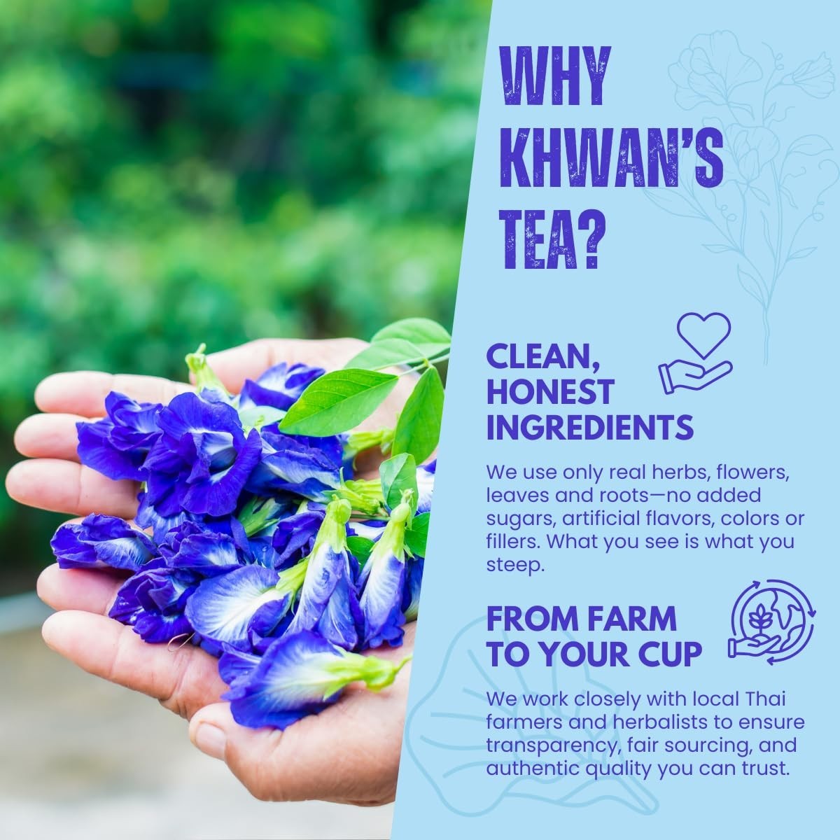 Organic Butterfly Pea Flower Tea – 3.5 oz Family Pouch