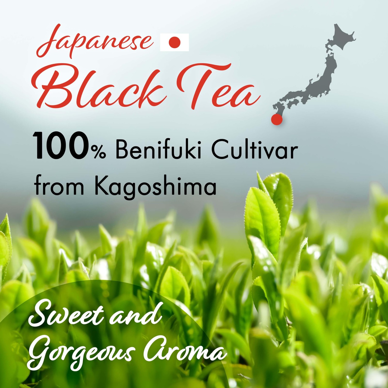YAMASAN KYOTO UJI Japanese Sakura Black Tea Loose Leaf, Cherry Blossom Black …