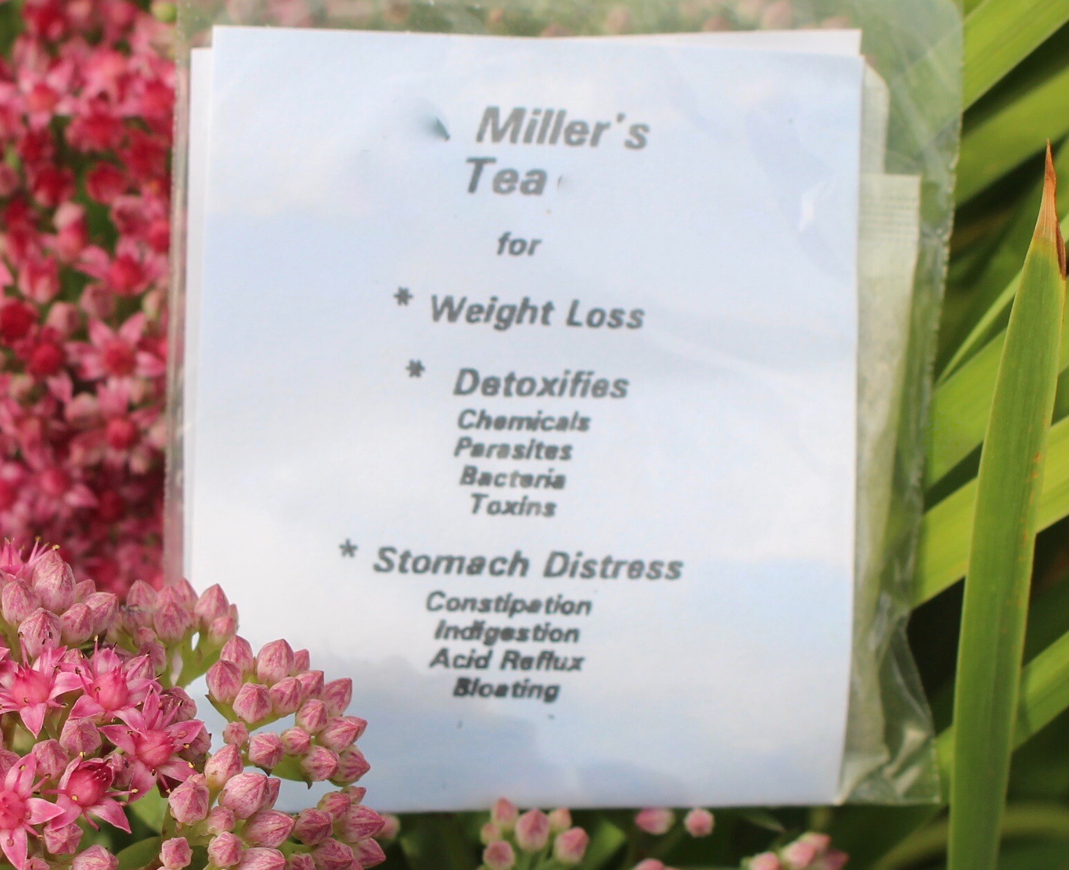 DR. MILLER’S YOUTHIN ORIGINAL Holy TEA 96 BAGS $152.