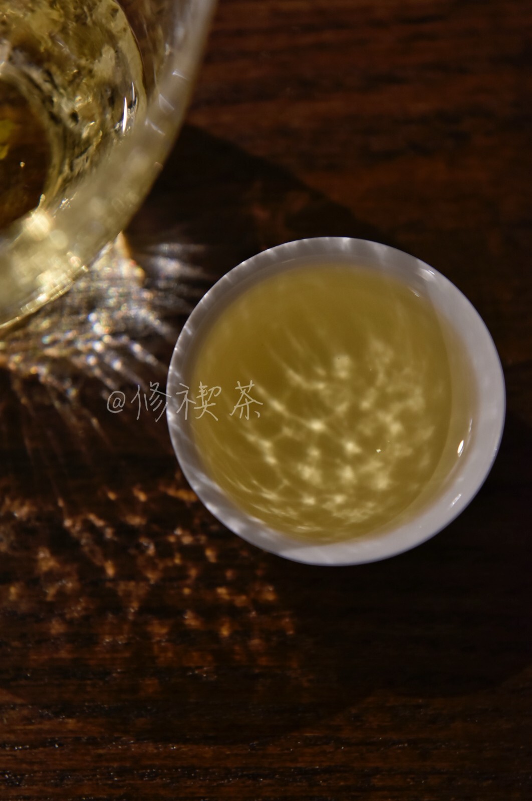 Fuding White Tea, 2023 First Spring Wild Shou Mei, 125g Bagged Chinese White Tea