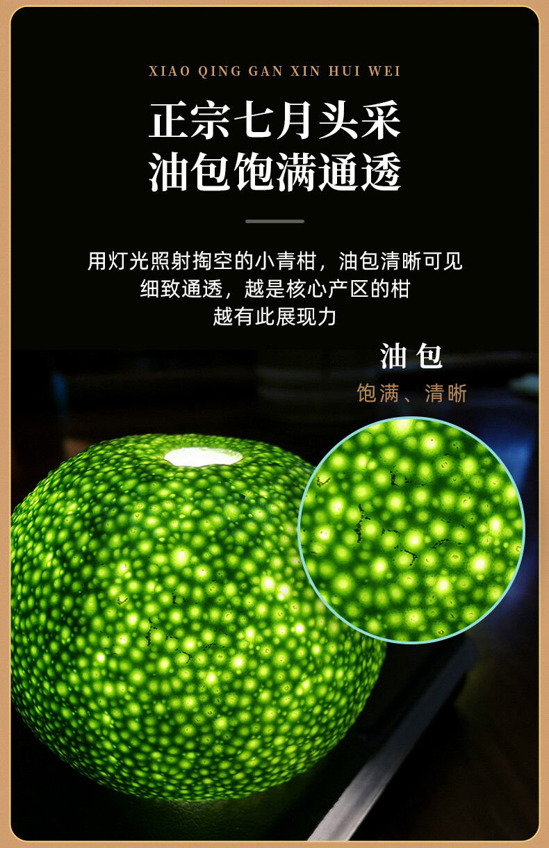 EFUTON Brand Chenpi Orange Pu’er Yunnan Pu-erh Tea Stuffed Tangerine Ripe 230g
