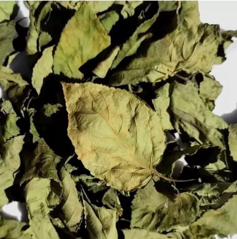 75g Dried Lantana Camara Leaves 100% Organic Shrub Verbena Angel Lips Tea