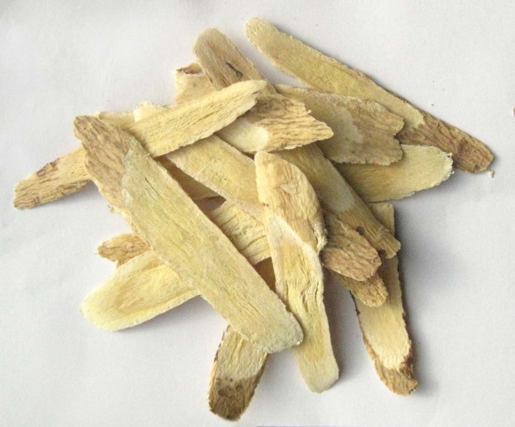 Huang Qi – Astragalus Root Slice, 黃芪 황기 Astragalus membranaceus Root
