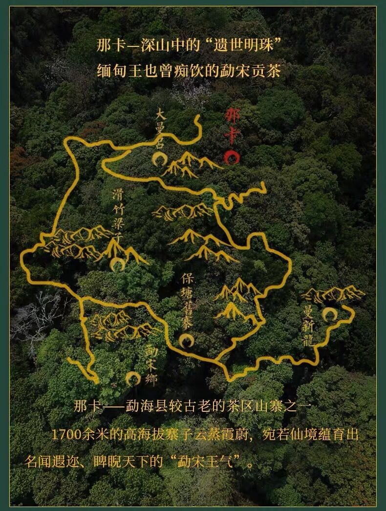 Pu-erh tea,2020,那卡 Naka,357g,Raw