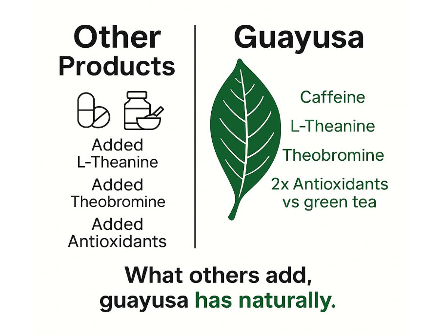 Pacha Guayusa Tea 2LB Organic Loose Leaf 66mg Caffeine Yerba Mate Alt
