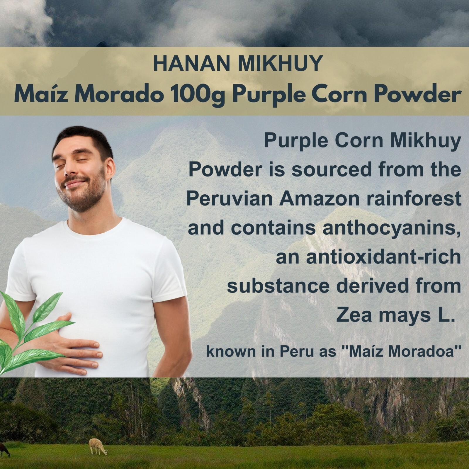 Maiz Morado 100% Natural Purple Corn Powder – Digestive Health & Vitality – Peru