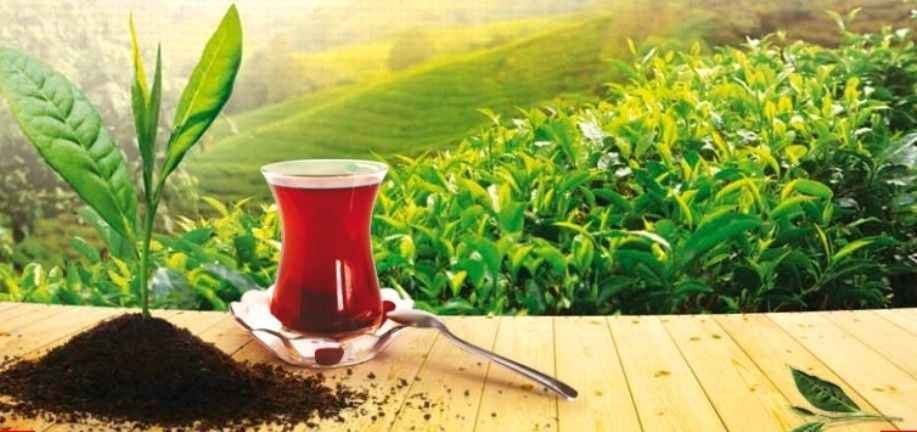 Azerbaijan Loose Leaf Black Tea Premium – Azercay – 400g / Азерчай / Bold Flavor