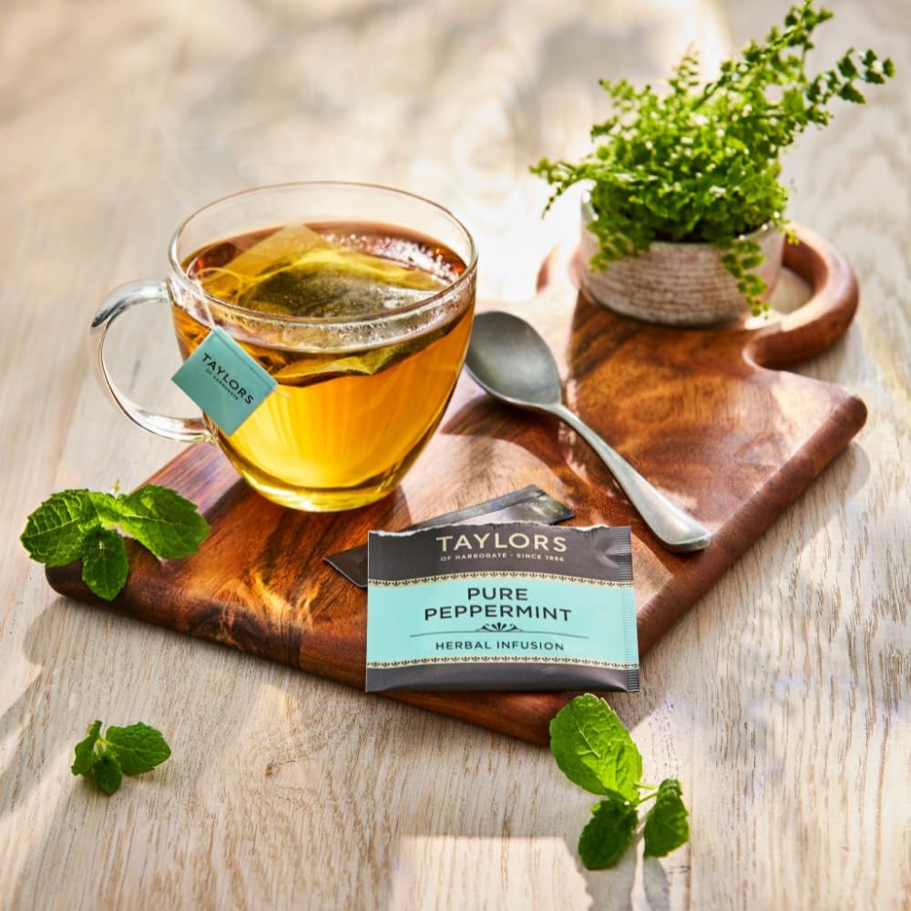 Taylors of Harrogate Organic Peppermint, Herbal Tea, 20 Count (Pack 1)