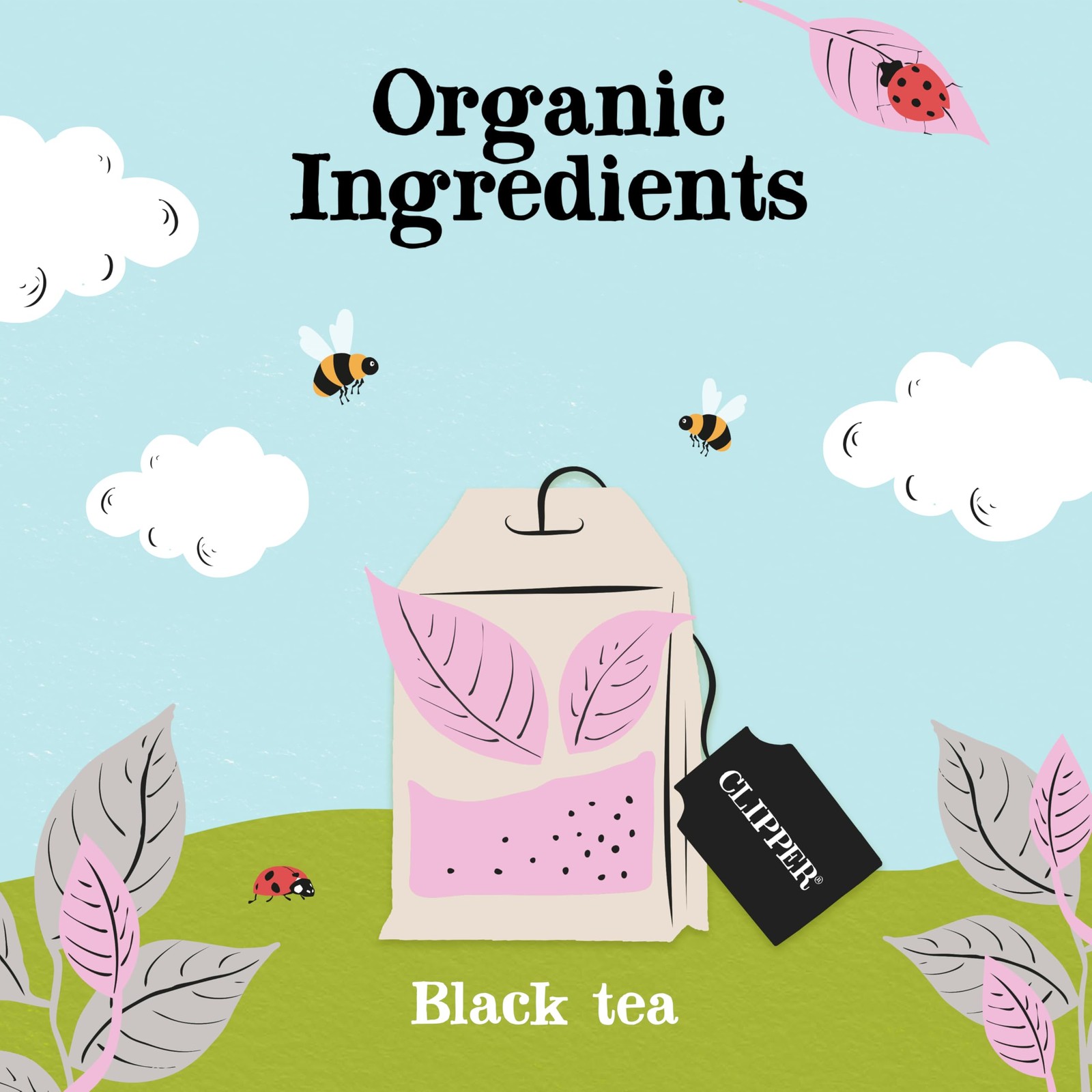 Organic Earl Grey – USDA Organic, Non-GMO, Fair Trade, Sustainable Caffeinate…