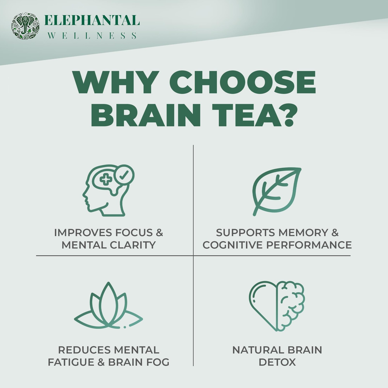 Premium Brain Herbal Tea | Nootropic Focus & Mental Clarity with Ginkgo, Baco…