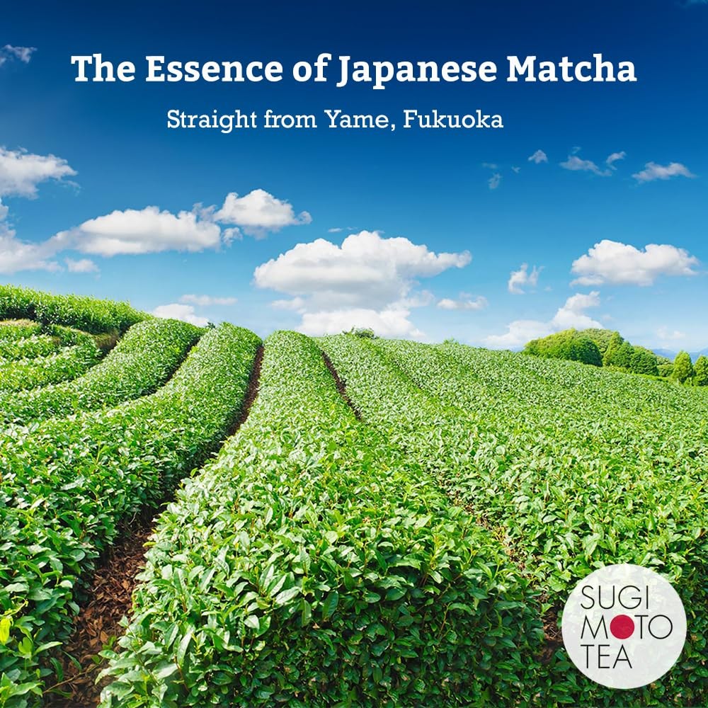 SUGIMOTO TEA Matcha Ceremonial Grade Japanese Matcha Powder KOCHI 1.05 oz 30 g