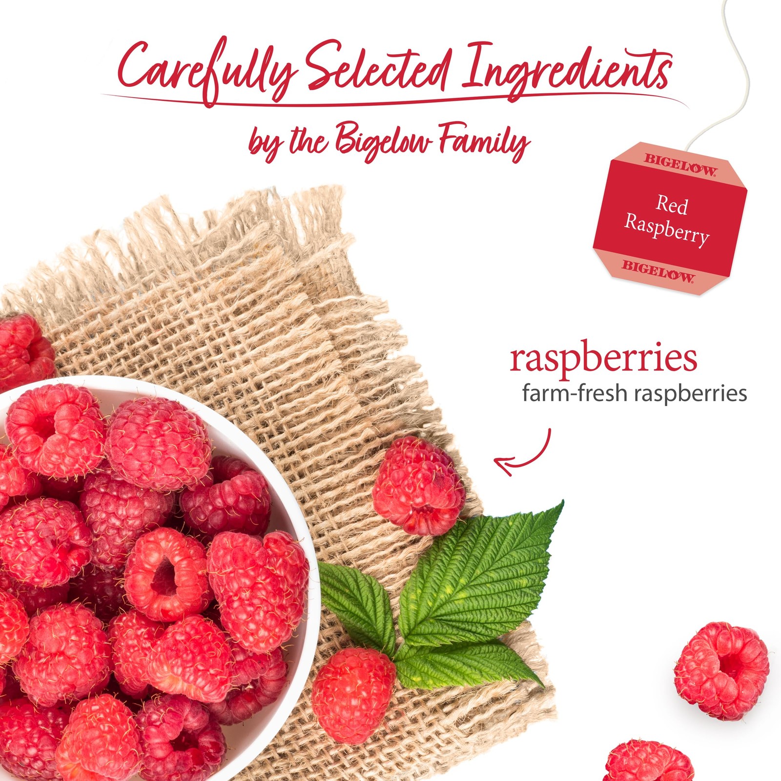 PACK OF 6-Bigelow Tea Red Raspberry Herbal Tea, Caffeine Free Tea with Red