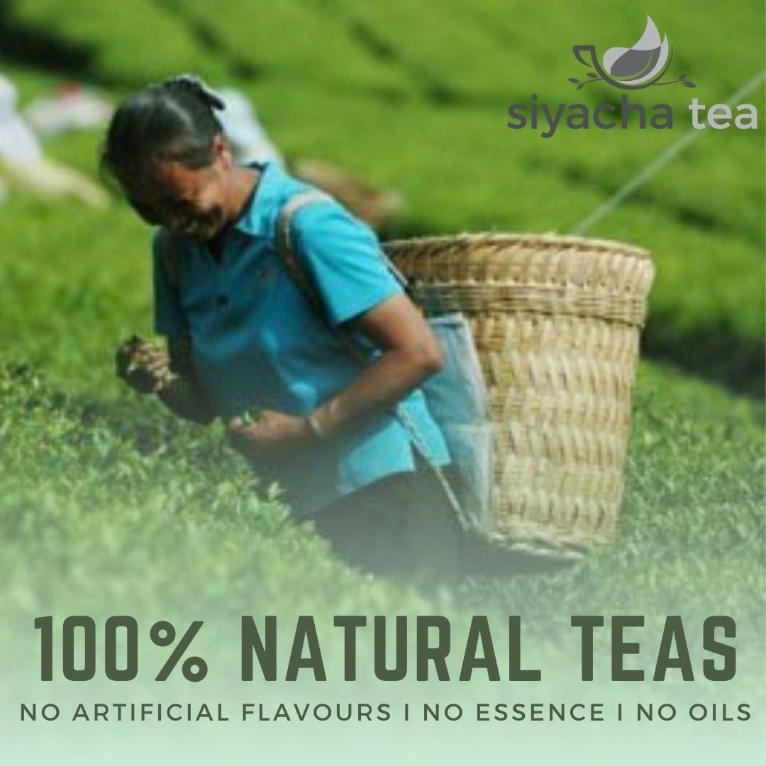 Darjeeling First Flush Tea 2026 Fresh Giddapahar SFTGFOP1 Loose Leaf Premium