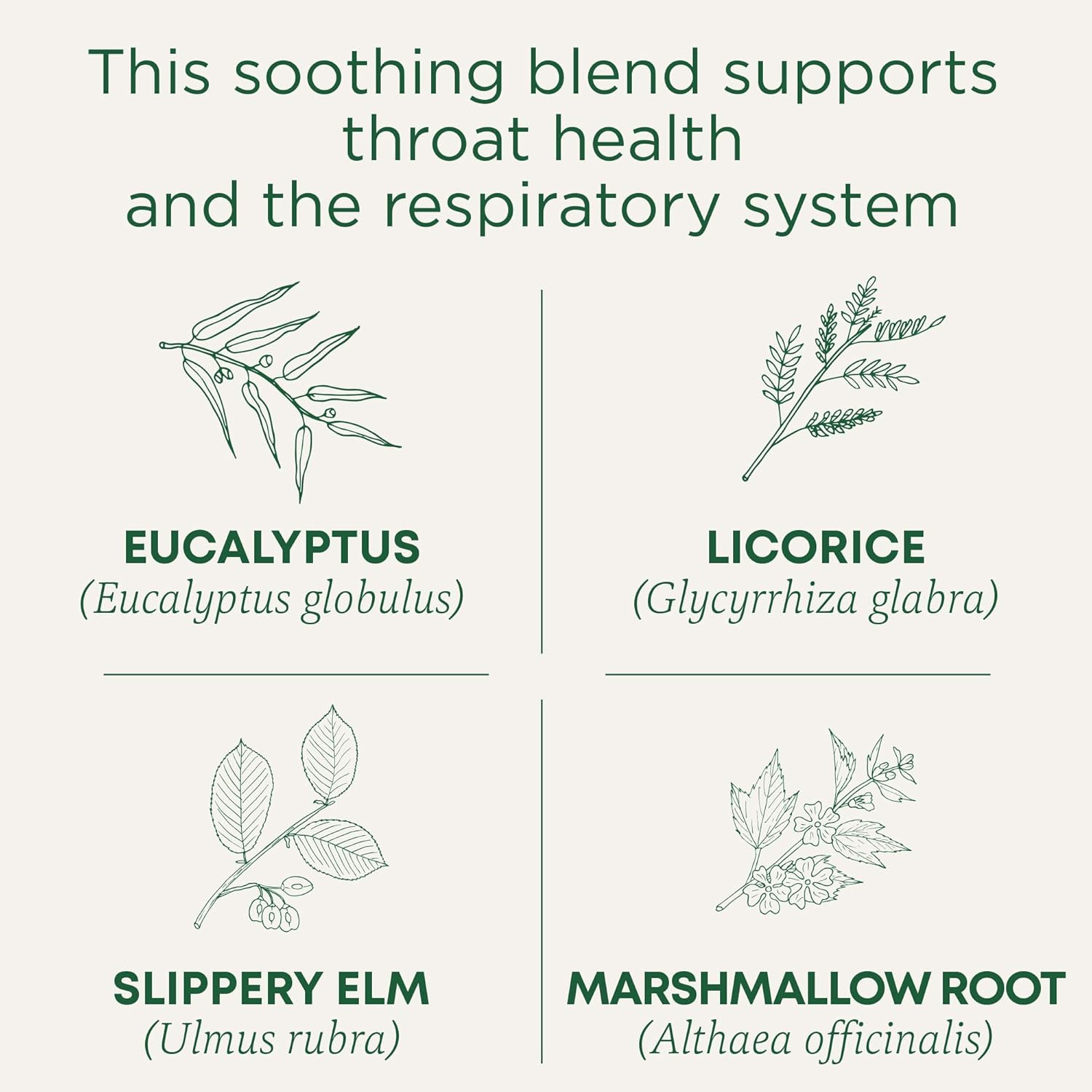 Organic, Throat Coat Tea, Eucalyptus & Slippery Elm – Supports Respiratory and T