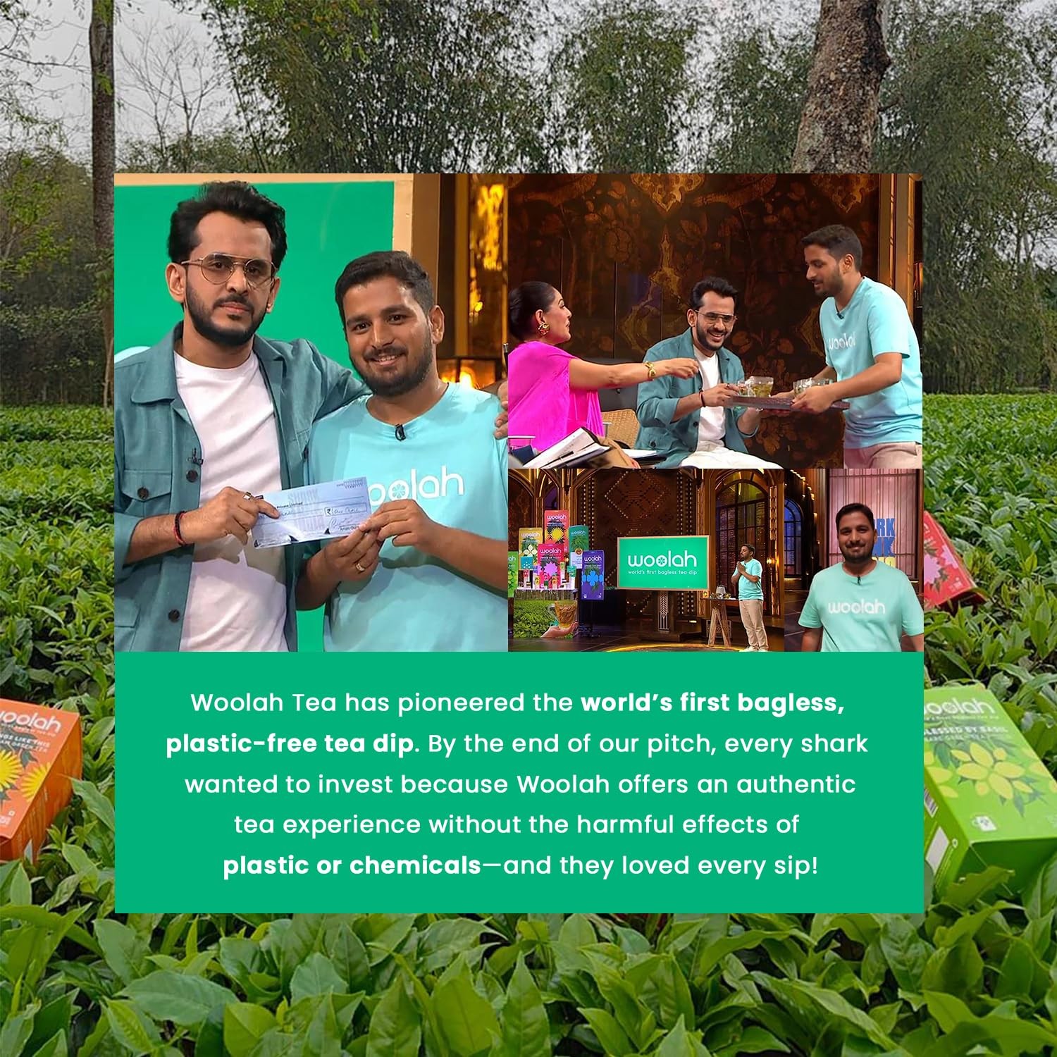 Woolah Assam Green Tea Organic Plastic Free 30 Dips 60 Cups