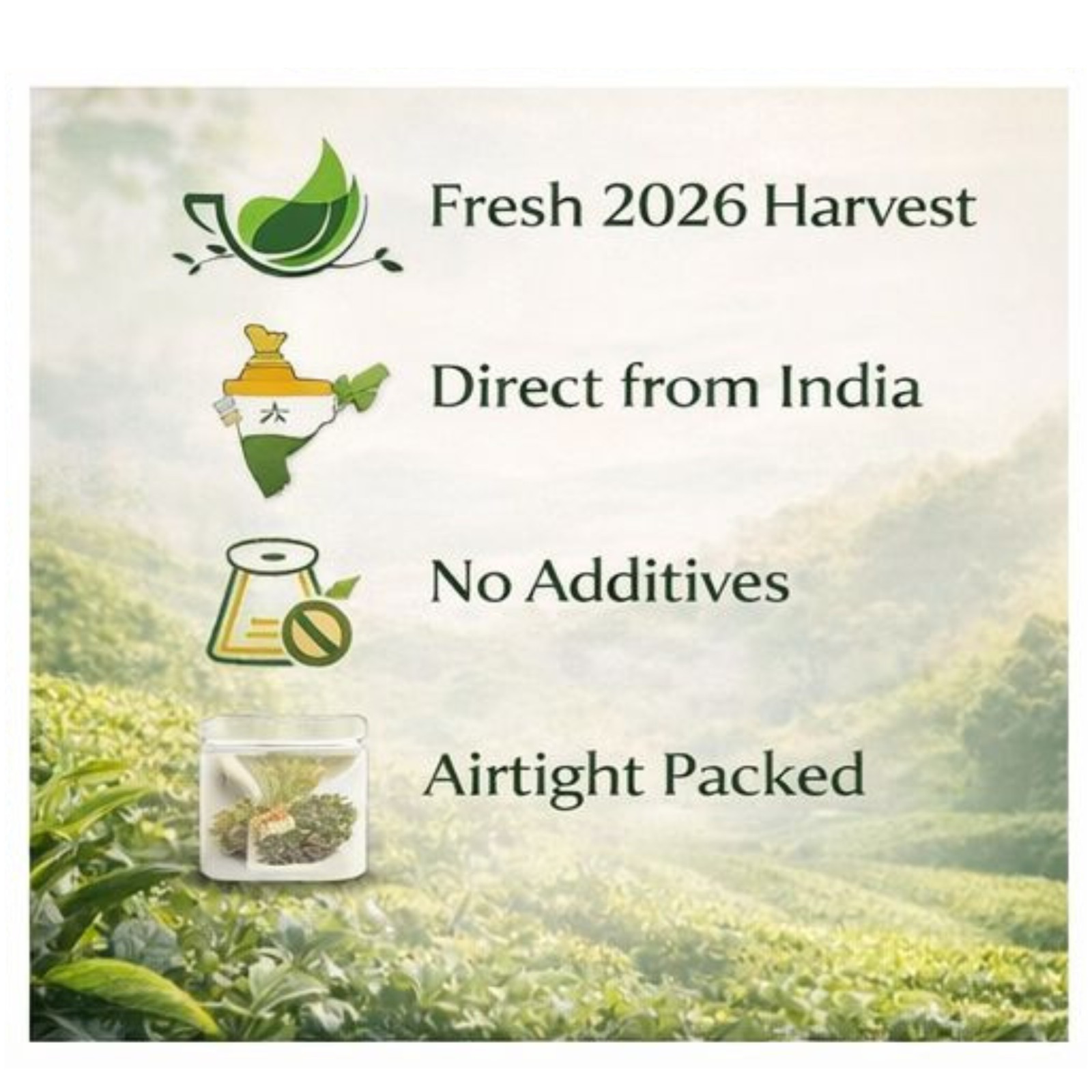 Darjeeling First Flush Tea 2026 Fresh Castleton STFGOP 1 Loose Leaf 250g/8.82OZ