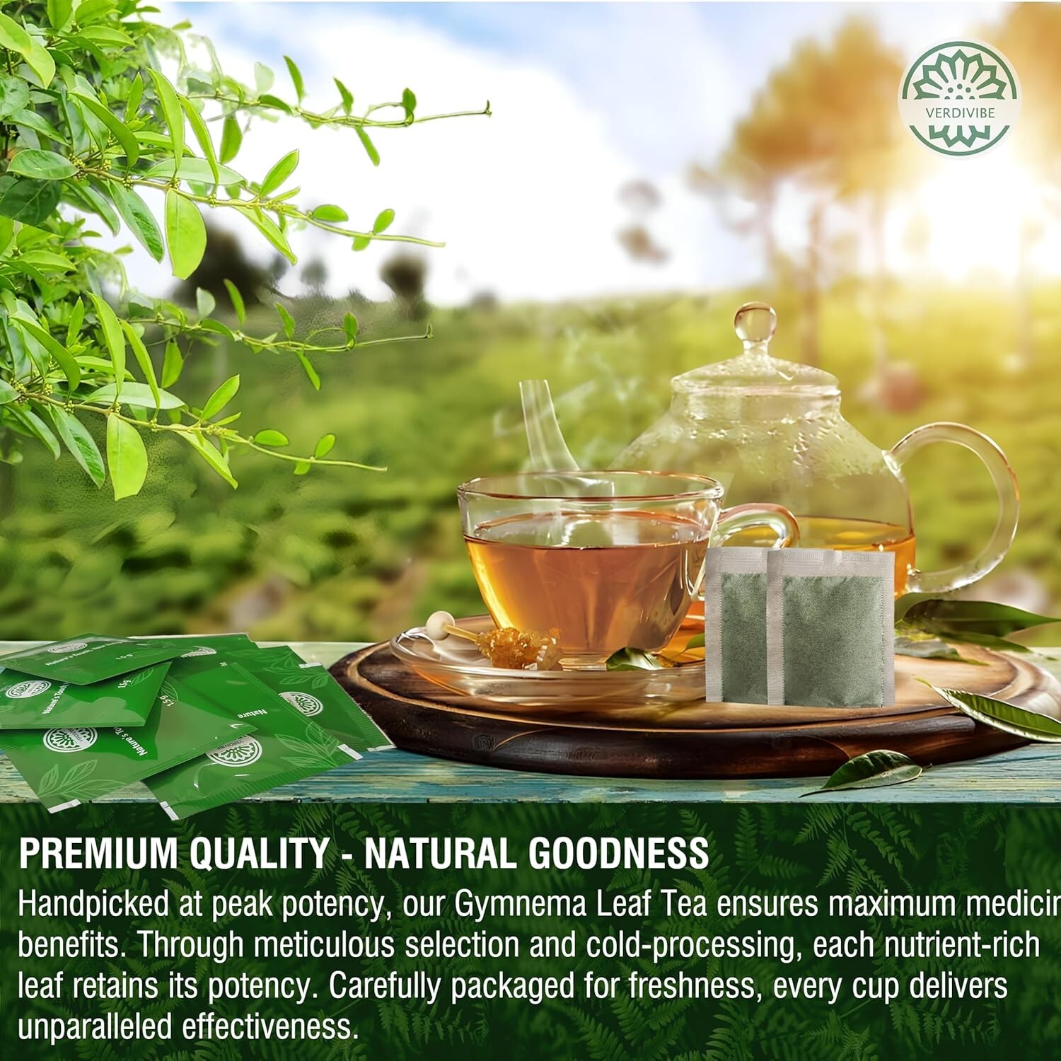Gymnema Tea Bags for Diabetics – COLD-DRIED for Maximum Freshness and Nutrien…