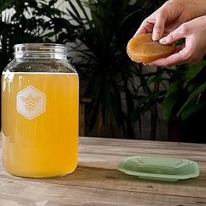 SCOBY and Starter Tea Liquid – Premium Live Culture – Fermentation and Kombucha