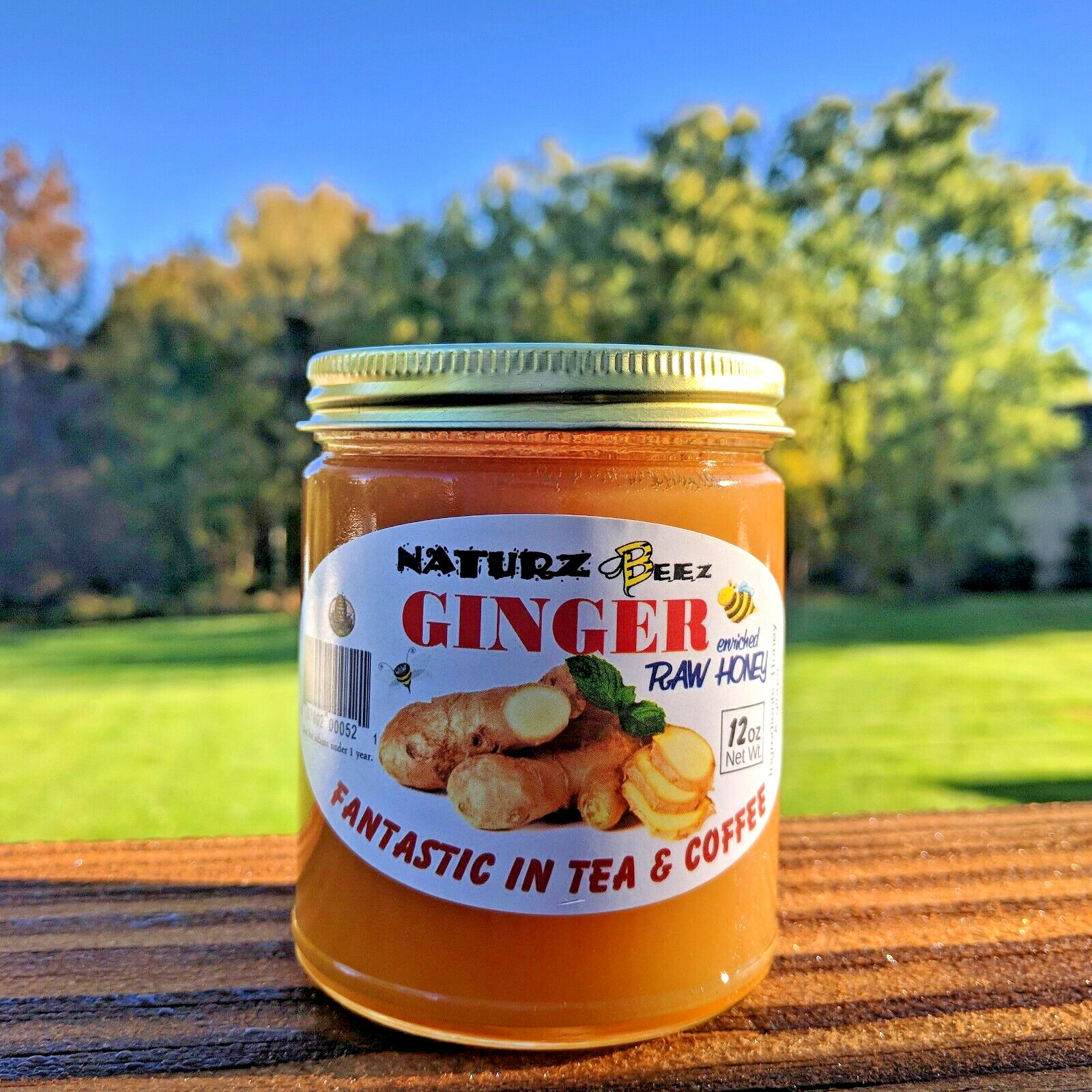 RAW HONEY with GINGER 12oz / 340g 100% PURE UNFILTERED USA HONEY