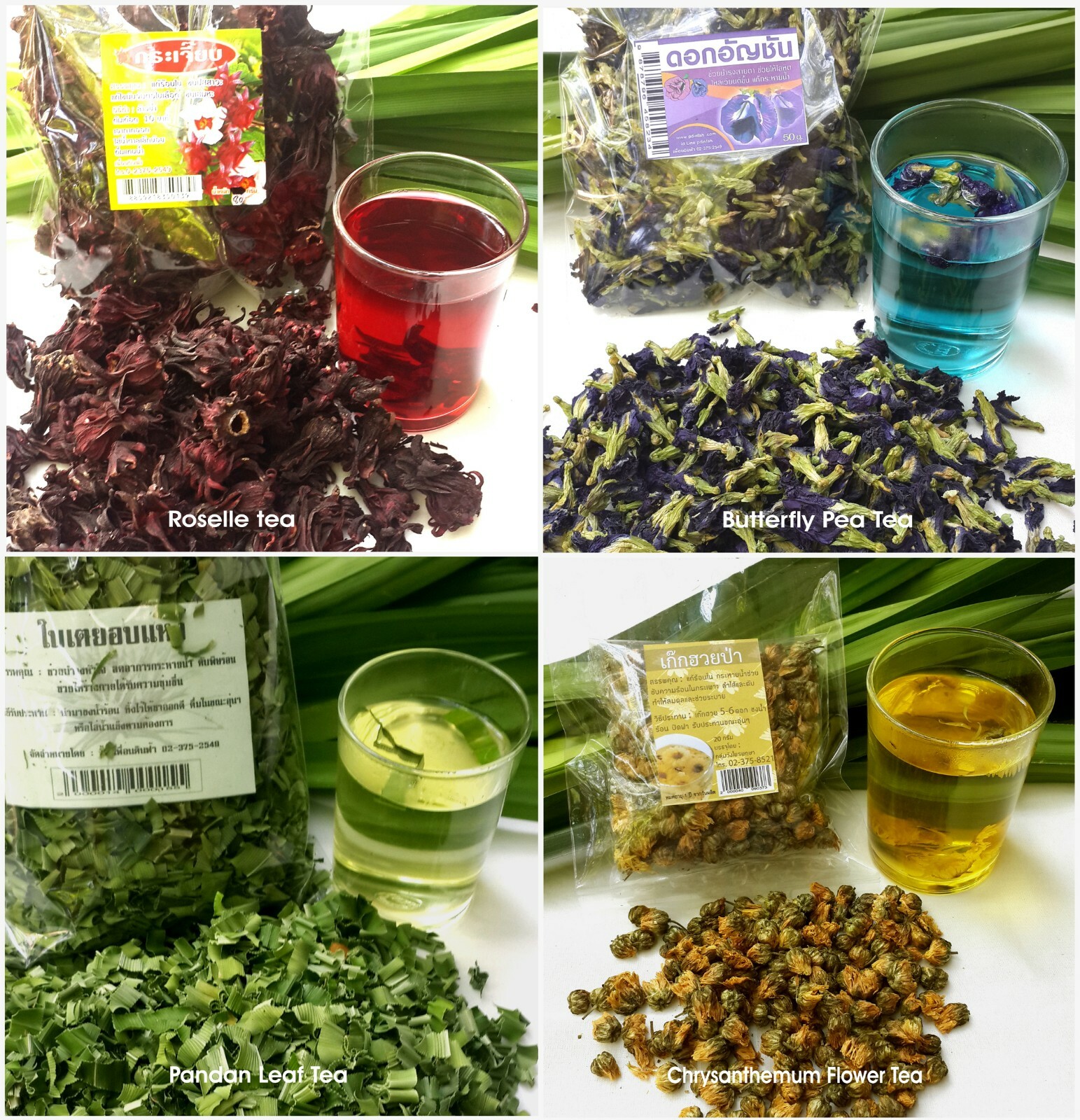 4 Thai herbal teas favorite Pandan Leaf ,chrysanthemum, roselle, butterfly pea