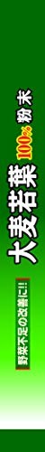Yamamoto Kanpo Aojiru Barley Young Leaves Green Juice 44 Sticks from Japan N2