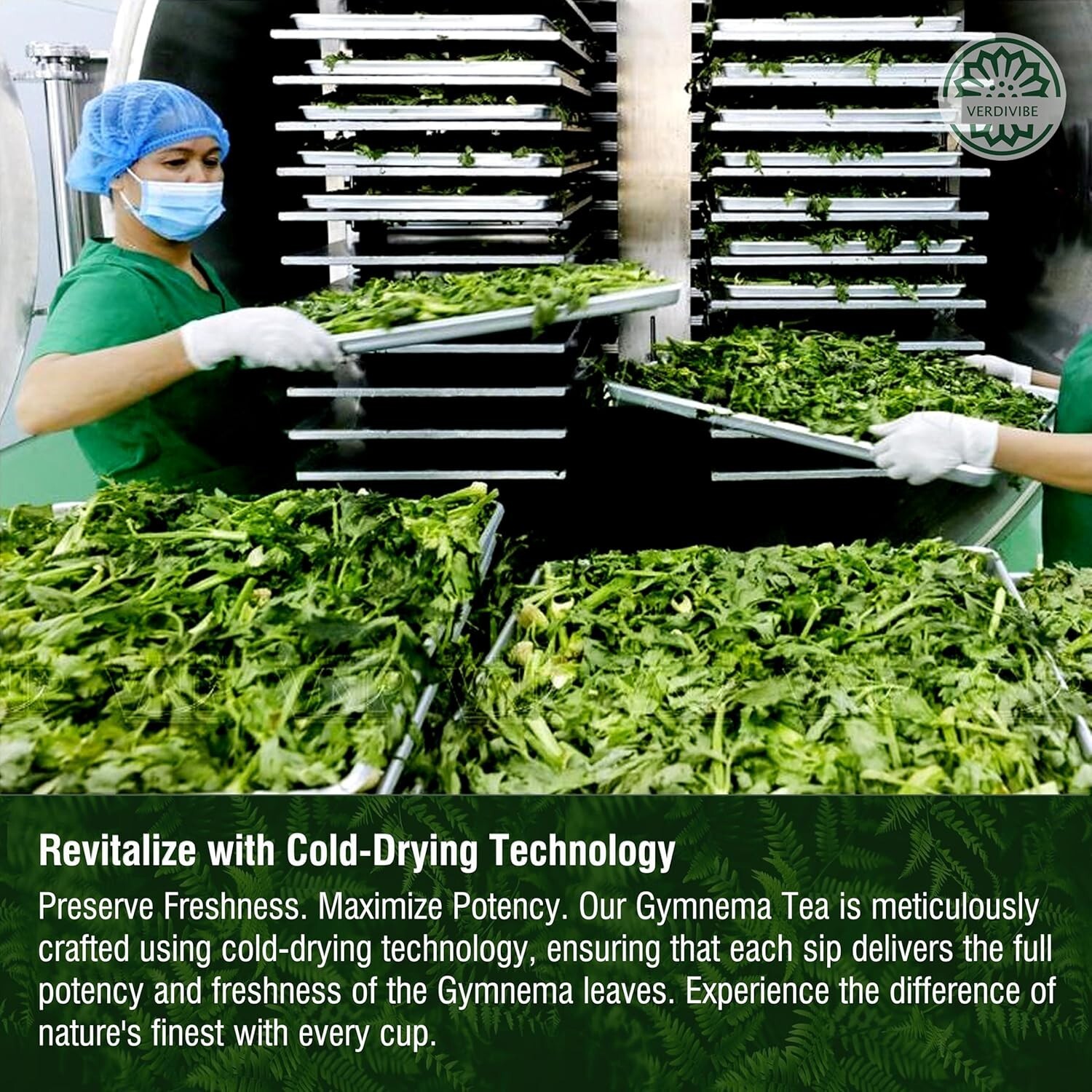 Gymnema Sylvestre Tea Bags – 100% Natural & Flavorful for Diabetics