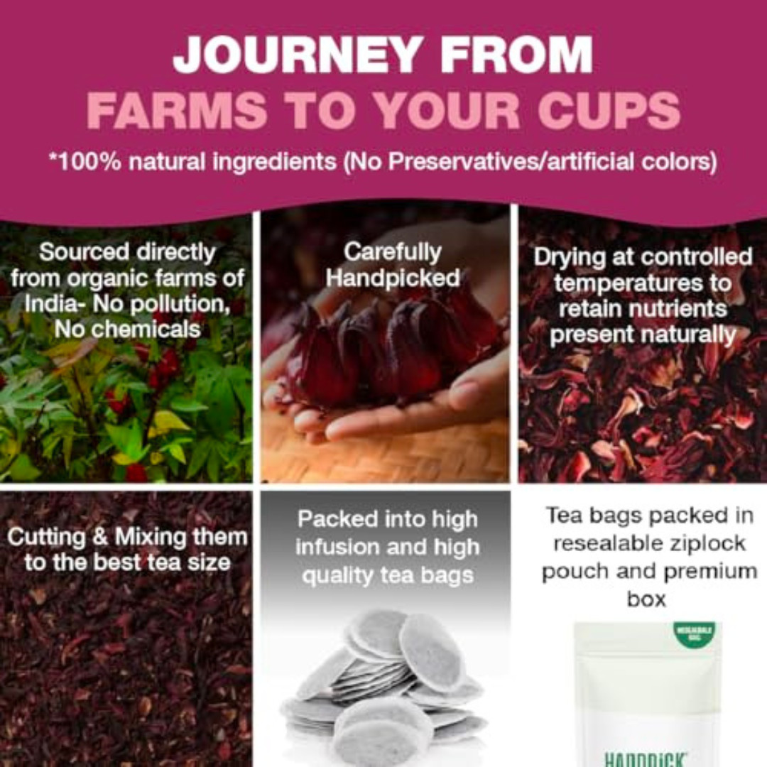 HANDPICK, Organic Hibiscus Tea Bags (100 Tea Bags) | Caffeine-Free, 100% Natural