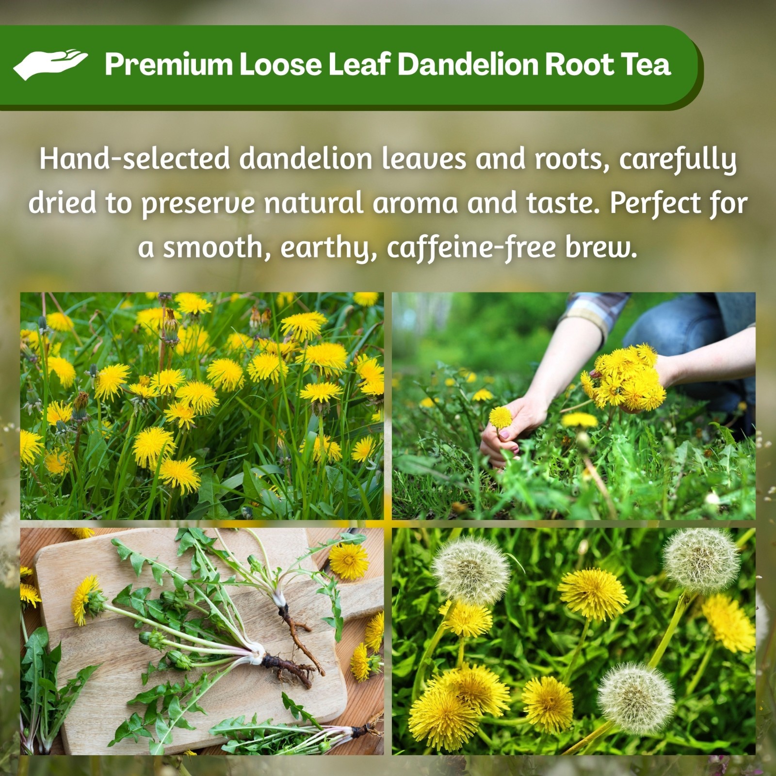 Diente de Leon 30g Dandelion 1.3oz Loose Herbal Tea from Peru