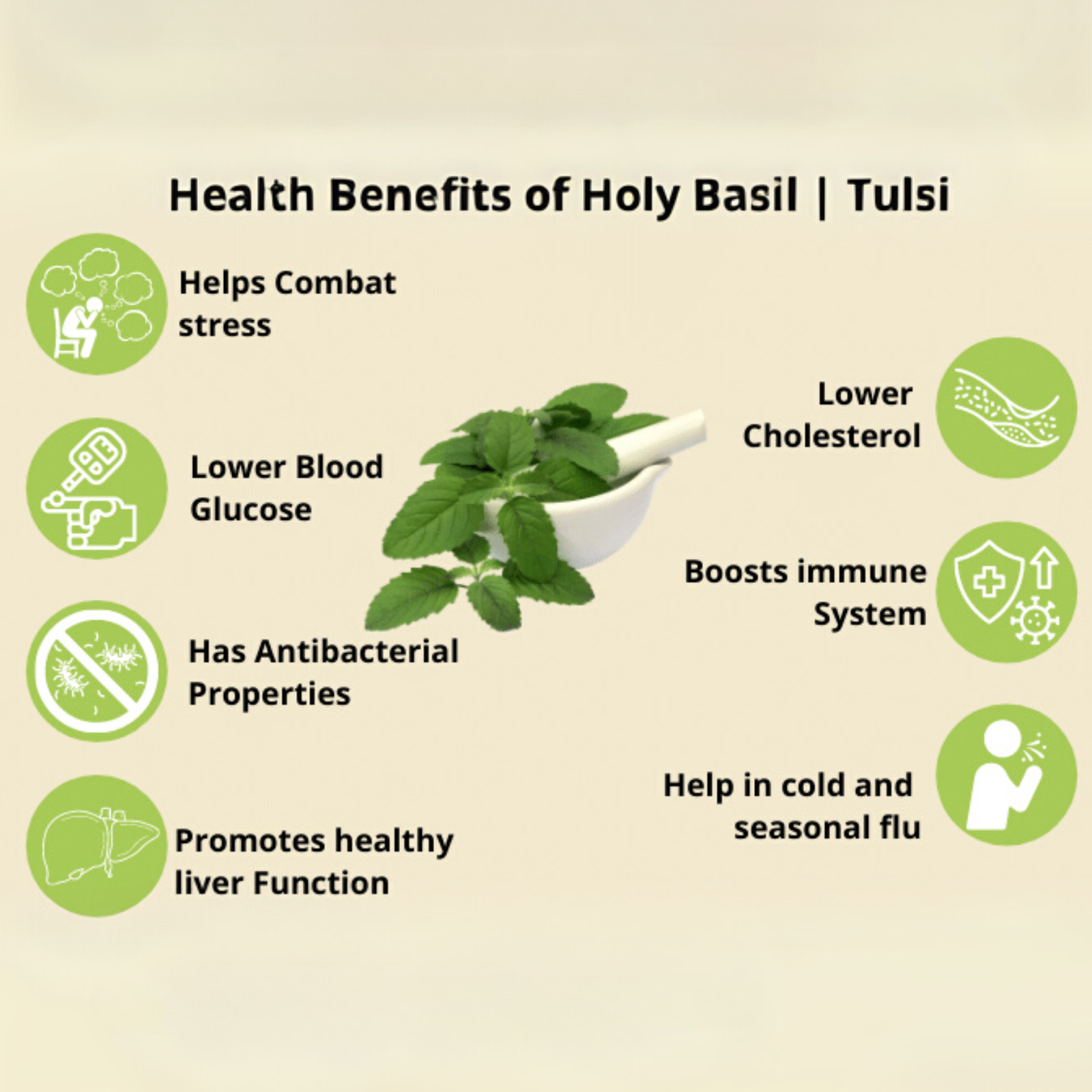 Sun Dried Holy Basil Whole Plant Ocimum Tenuiflorum Tulsi 200gOrganic Herbal Tea