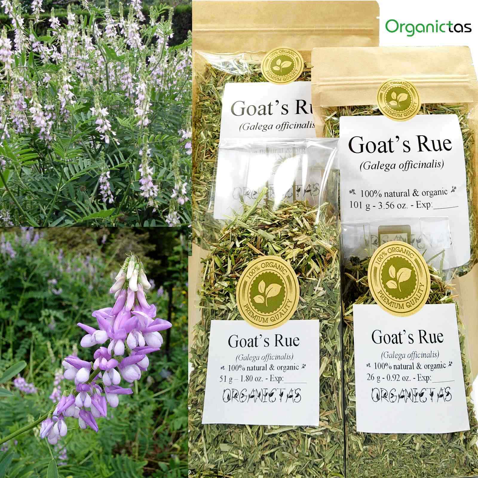 Organic GOATS RUE Tea Dried Cut Loose Galega Officinalis Premium Quality Herb