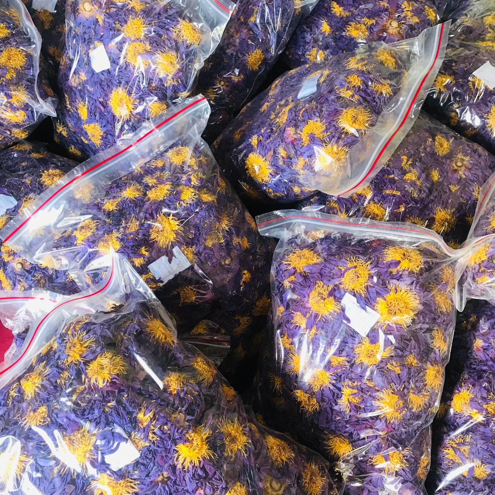 Ceylon Herbal Blue Lotus Nymphaea Caerulea 100% Hand Pick Organic Tea
