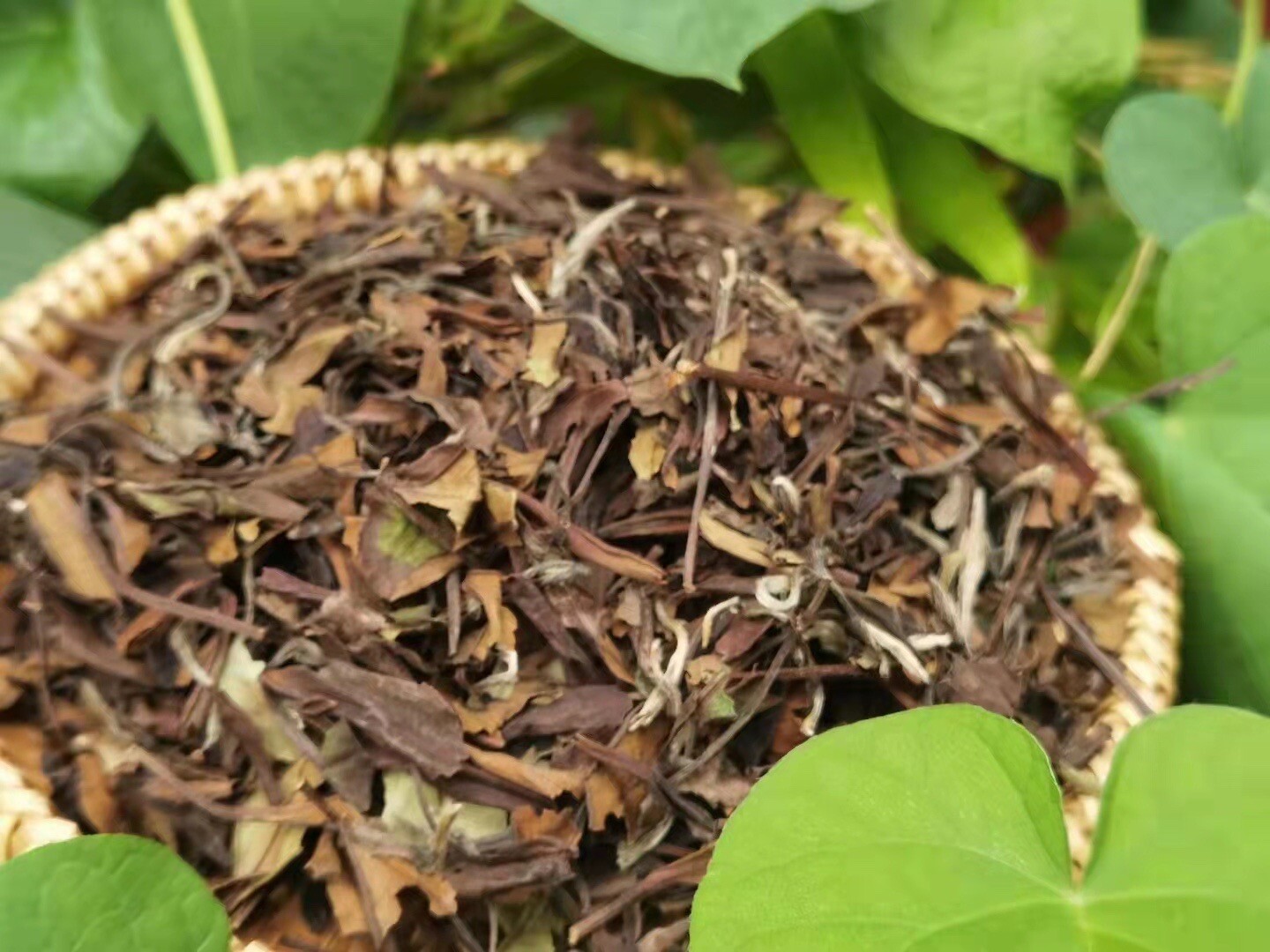 Puer Tea 357g