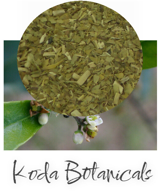 ORGANIC YERBA MATE Herbal Tea PREMIUM GRADE Ilex paraguariensis (Brazilian)